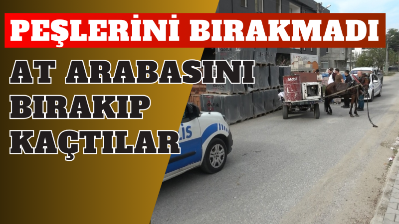 Önce bir araca çarptı ardından atı ve arabasını bırakıp kaçtı