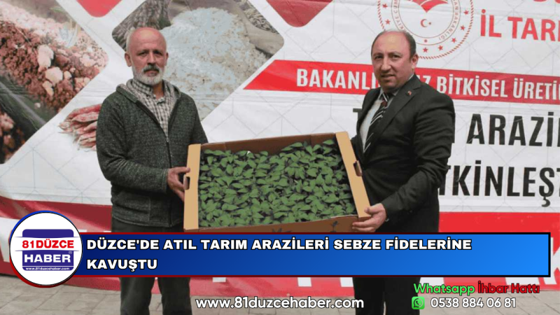 DÜZCE'DE ATIL TARIM ARAZİLERİ SEBZE FİDELERİNE KAVUŞTU