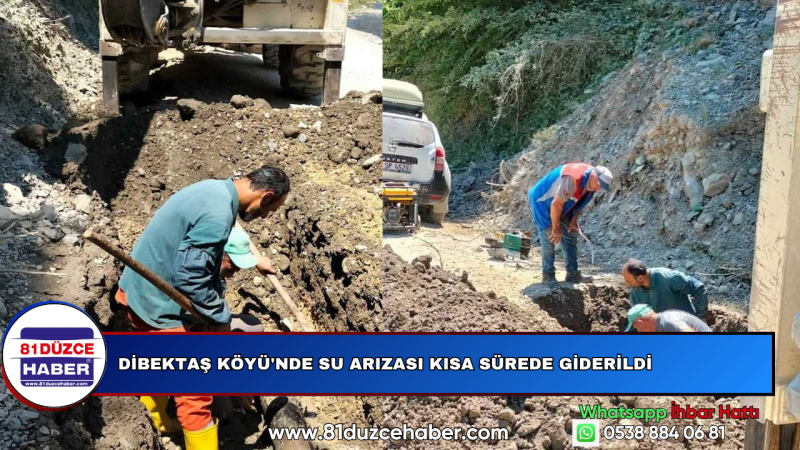 DİBEKTAŞ KÖYÜ'NDE SU ARIZASI KISA SÜREDE GİDERİLDİ