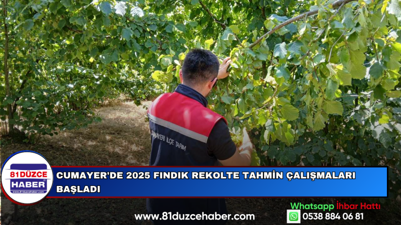 Cumayer'de 2025 Fındık Rekolte Tahmin Çalışmaları Başladı