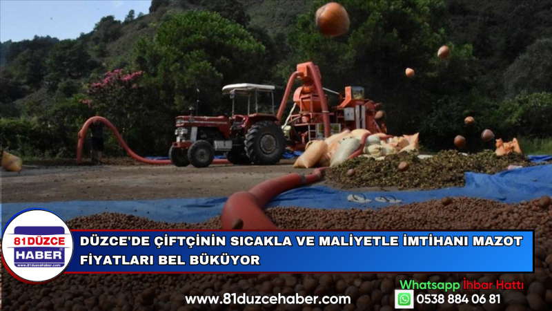 Düzce'de Çiftçinin Sıcakla ve Maliyetle İmtihanı Mazot Fiyatları Bel Büküyor