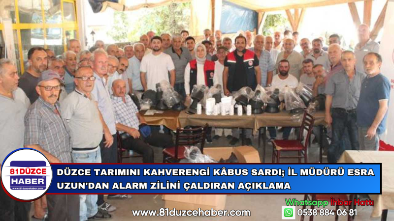 Düzce Tarımını Kahverengi Kâbus Sardı; İl Müdürü Esra Uzun'dan Alarm Zilini Çaldıran Açıklama