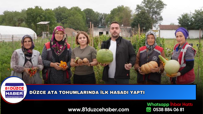 Düzce Ata Tohumlarında İlk Hasadı Yaptı