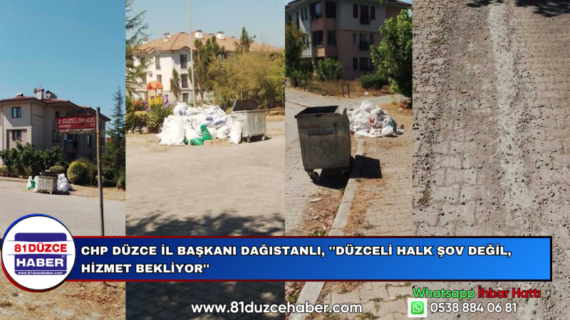CHP Düzce İl Başkanı Dağıstanlı, ''Düzceli Halk Şov Değil, Hizmet Bekliyor''