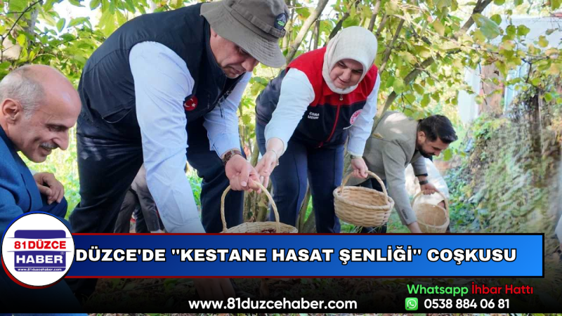 Düzce'de ''Kestane Hasat Şenliği'' Coşkusu