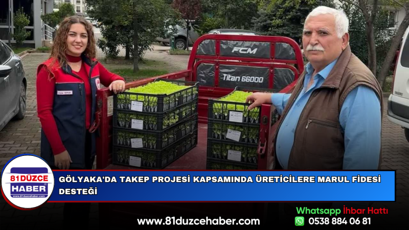 Gölyaka'da TAKEP Projesi Kapsamında Üreticilere Marul Fidesi Desteği