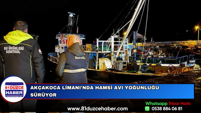 Akçakoca Limanı'nda Hamsi Avı Yoğunluğu Sürüyor