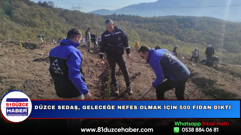 Düzce SEDAŞ, Geleceğe Nefes Olmak İçin 500 Fidan Dikti