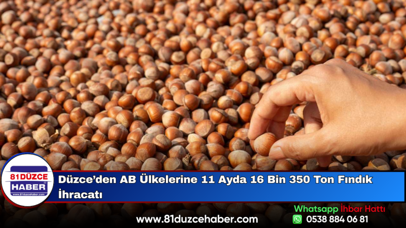 Düzce’den AB Ülkelerine 11 Ayda 16 Bin 350 Ton Fındık İhracatı