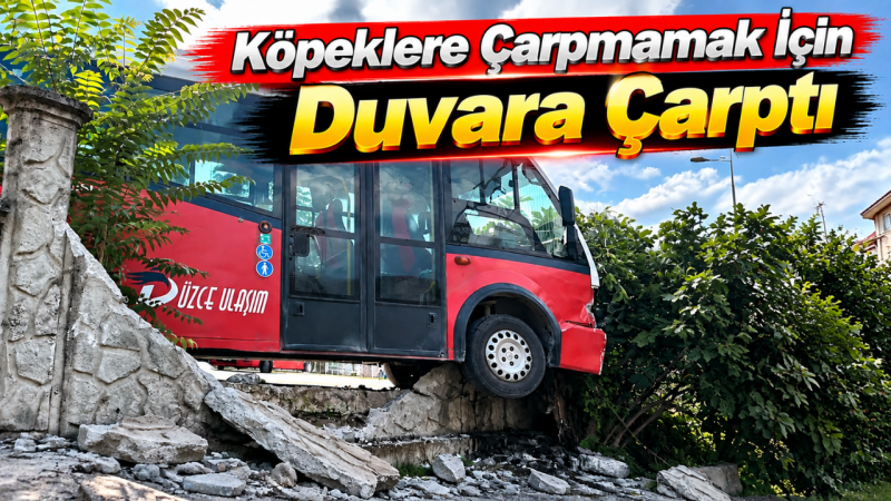 Köpeklere Çarpmamak İçin Duvara Çarptı