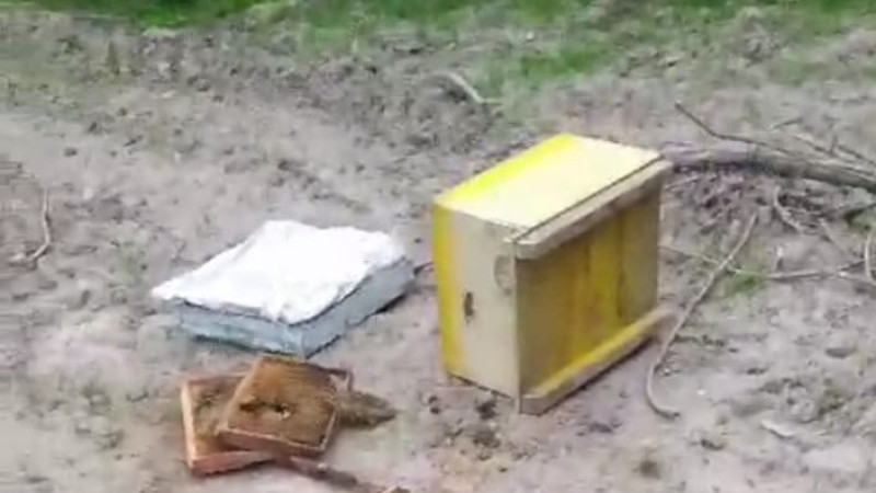 BALKIZ'IN  AKRABALARI OLABİLİR