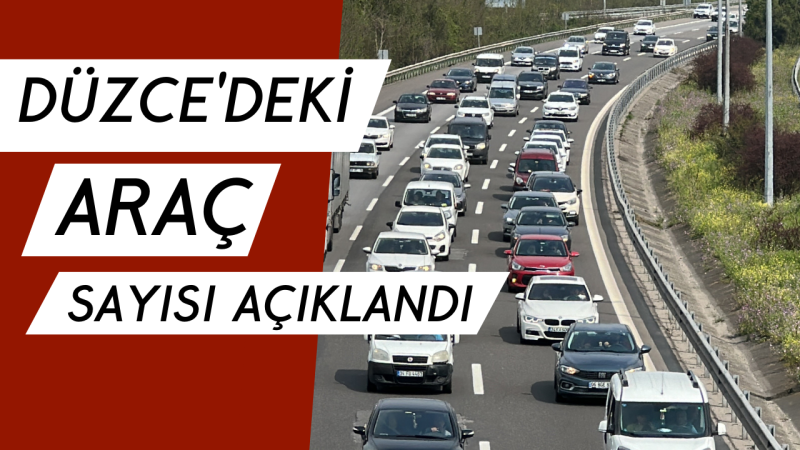 Sayı 132 bini geçti