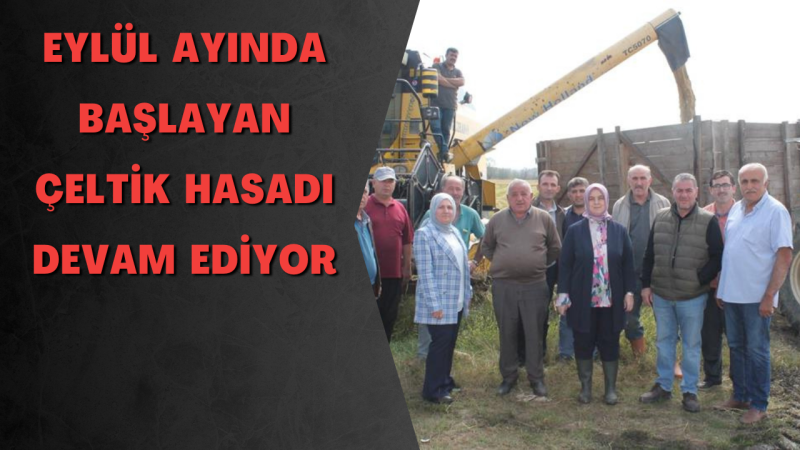 COĞRAFİ İŞARETLİ KONURALP PİRİNCİNİN HASADI BAŞLADI