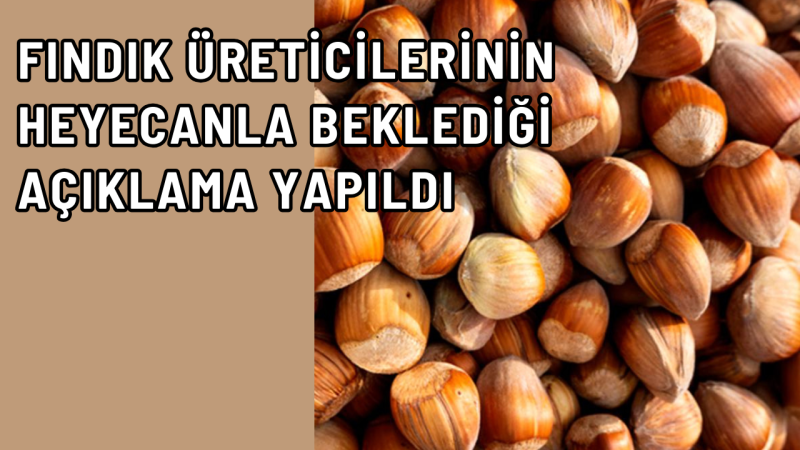 Fındık Üreticilerine Müjde !