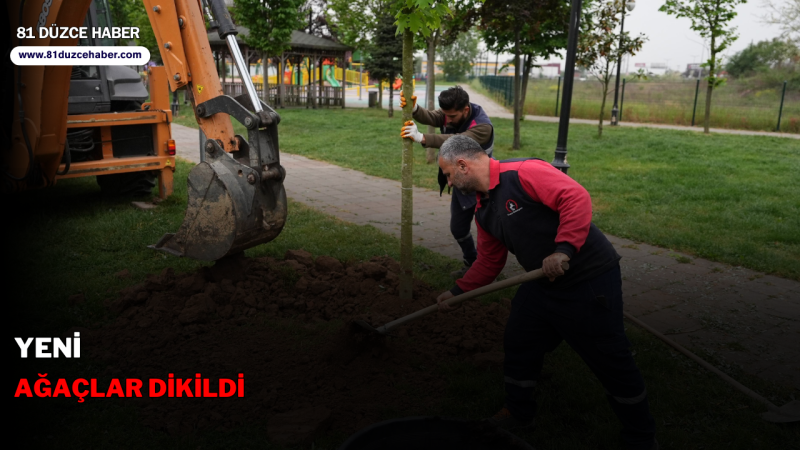 YENİ AĞAÇLAR DİKİLDİ