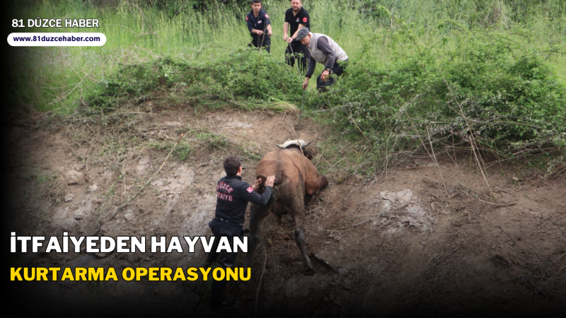 İTFAİYEDEN HAYVAN KURTARMA OPERASYONU