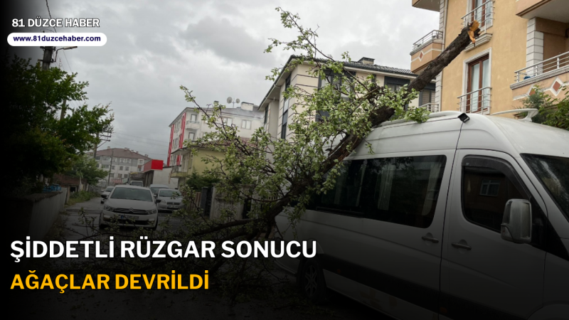 Şiddetli Rüzgar Sonucu Ağaçlar Devrildi
