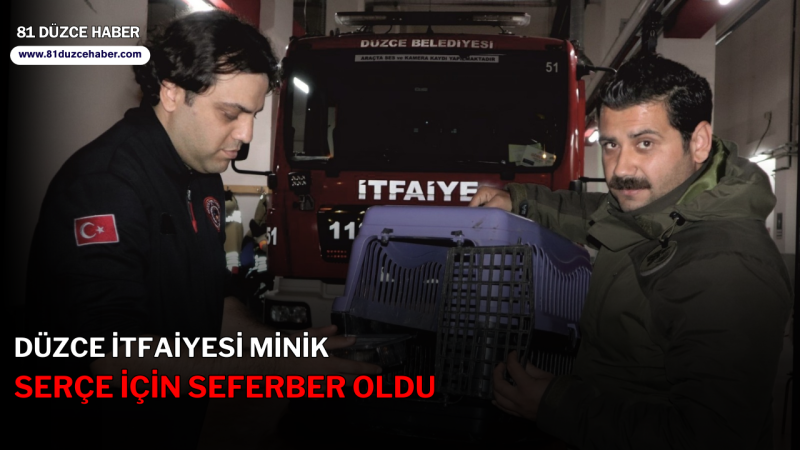 DÜZCE İTFAİYESİ MİNİK SERÇE İÇİN SEFERBER OLDU