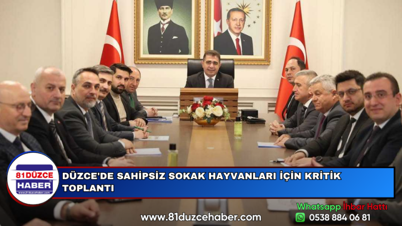 DÜZCE'DE SAHİPSİZ SOKAK HAYVANLARI İÇİN KRİTİK TOPLANTI