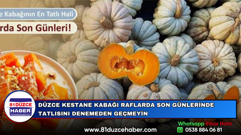DÜZCE KESTANE KABAĞI RAFLARDA SON GÜNLERİNDE TATLISINI DENEMEDEN GEÇMEYİN