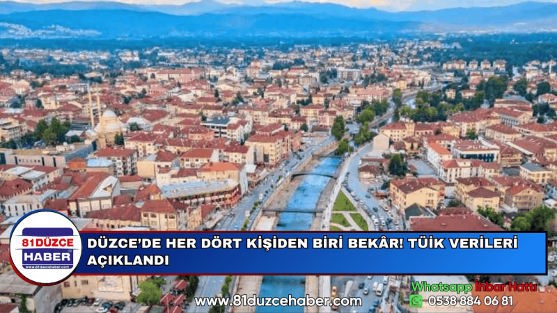 DÜZCE’DE HER DÖRT KİŞİDEN BİRİ BEKÂR! TÜİK VERİLERİ AÇIKLANDI