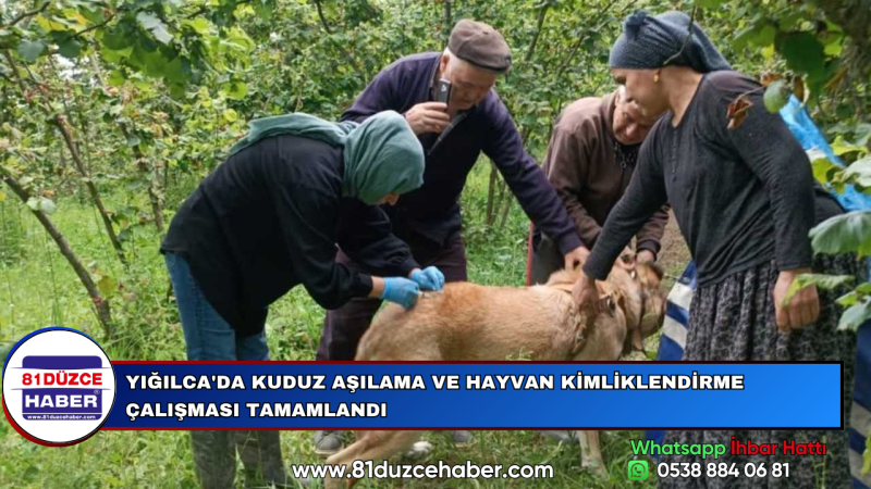 YIĞILCA'DA KUDUZ AŞILAMA VE HAYVAN KİMLİKLENDİRME ÇALIŞMASI TAMAMLANDI