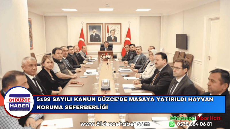 5199 SAYILI KANUN DÜZCE'DE MASAYA YATIRILDI HAYVAN KORUMA SEFERBERLİĞİ
