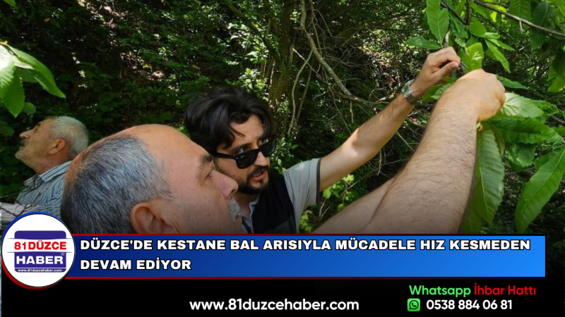 DÜZCE'DE KESTANE BAL ARISIYLA MÜCADELE HIZ KESMEDEN DEVAM EDİYOR