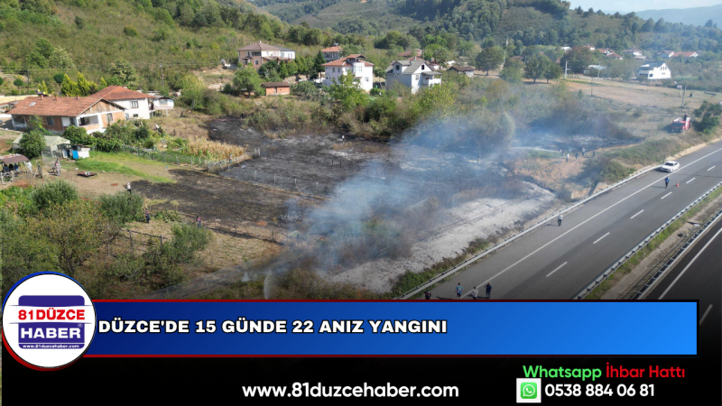 DÜZCE'DE 15 GÜNDE 22 ANIZ YANGINI