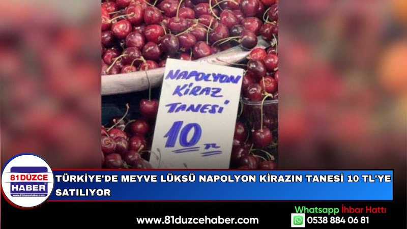 TÜRKİYE'DE MEYVE LÜKSÜ NAPOLYON KİRAZIN TANESİ 10 TL'YE SATILIYOR