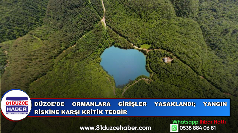 Düzce'de Ormanlara Girişler Yasaklandı; Yangın Riskine Karşı Kritik Tedbir