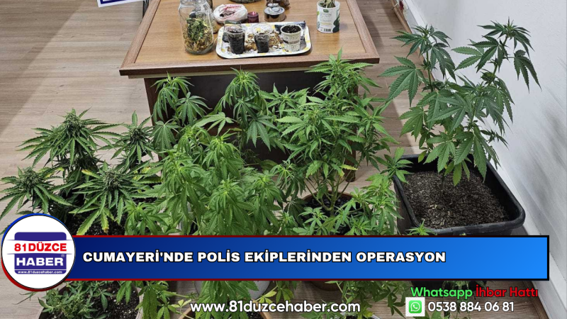 Cumayeri'nde Polis Ekiplerinden Operasyon