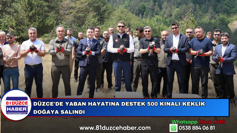 Düzce'de Yaban Hayatına Destek 500 Kınalı Keklik Doğaya Salındı