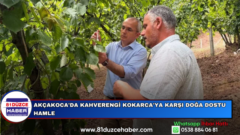 Akçakoca'da Kahverengi Kokarca'ya Karşı Doğa Dostu Hamle