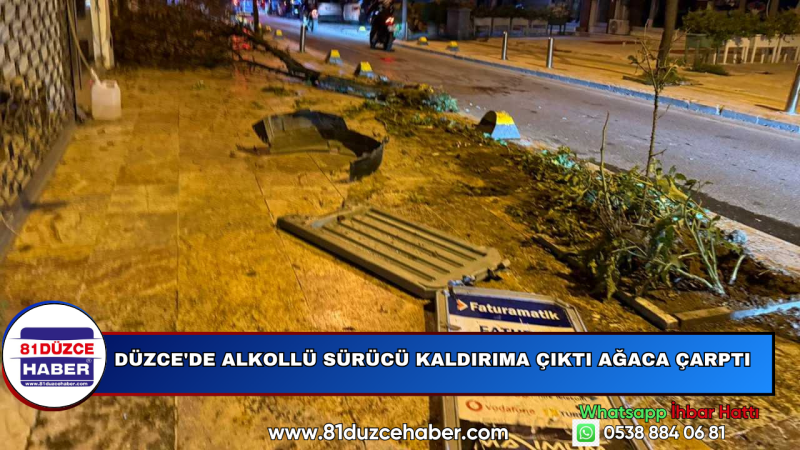 Düzce'de Alkollü Sürücü Kaldırıma Çıktı Ağaca Çarptı