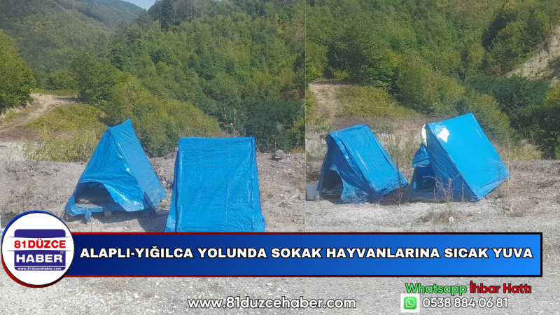 Alaplı-Yığılca Yolunda Sokak Hayvanlarına Sıcak Yuva