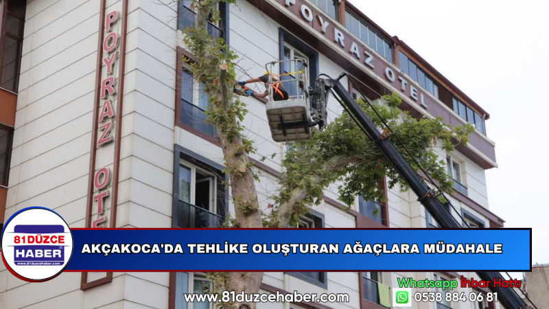 Akçakoca'da Tehlike Oluşturan Ağaçlara Müdahale