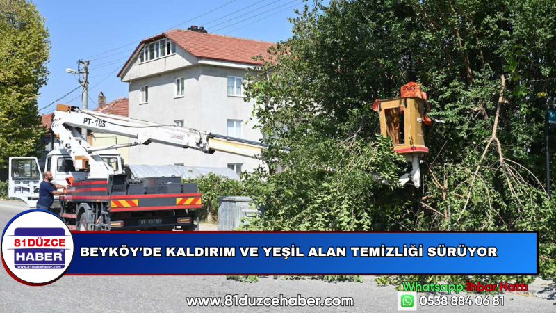 Beyköy'de Kaldırım ve Yeşil Alan Temizliği Sürüyor