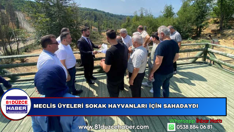 Meclis Üyeleri Sokak Hayvanları İçin Sahadaydı