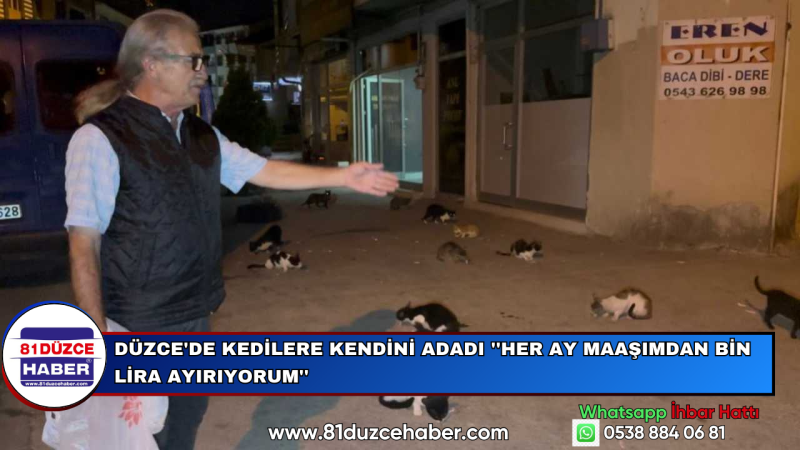 Düzce'de Kedilere Kendini Adadı ''Her Ay Maaşımdan Bin Lira Ayırıyorum''