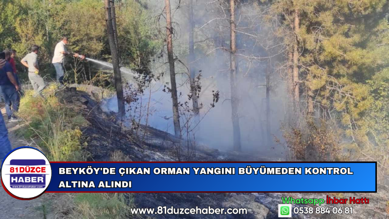 Beyköy'de Çıkan Orman Yangını Büyümeden Kontrol Altına Alındı