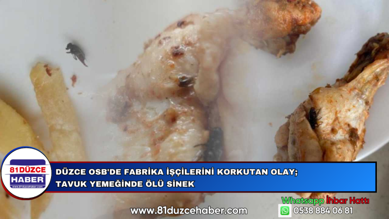 Düzce OSB'de Fabrika İşçilerini Korkutan Olay; Tavuk Yemeğinde Ölü Sinek