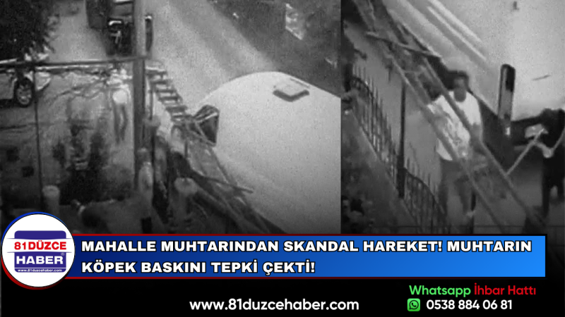 Mahalle Muhtarından Skandal Hareket! Muhtarın Köpek Baskını Tepki Çekti!