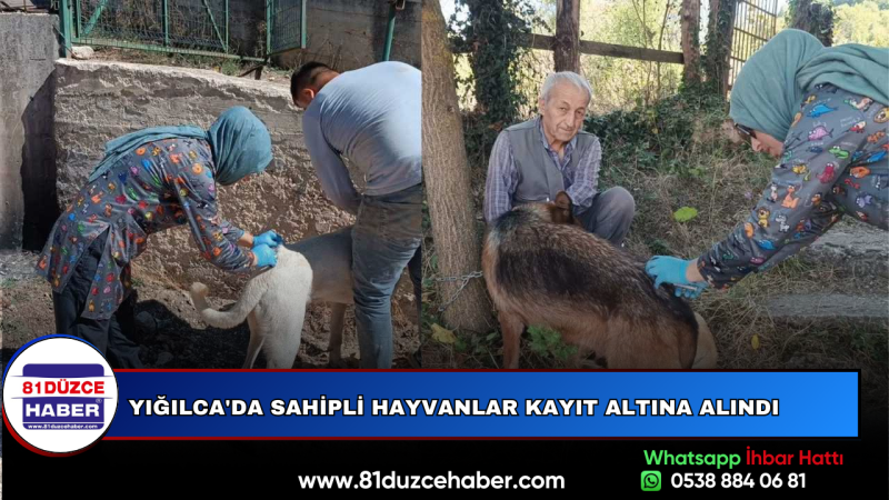 Yığılca'da Sahipli Hayvanlar Kayıt Altına Alındı
