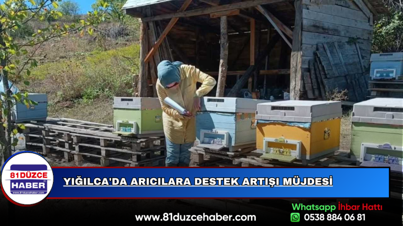 Yığılca'da Arıcılara Destek Artışı Müjdesi