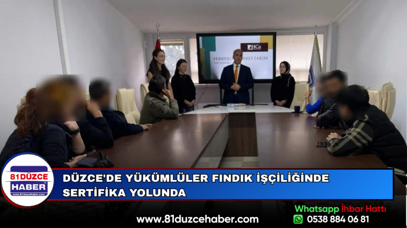 Düzce'de Yükümlüler Fındık İşçiliğinde Sertifika Yolunda