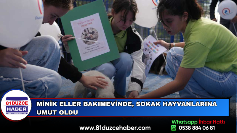 Minik Eller Bakımevinde, Sokak Hayvanlarına Umut Oldu