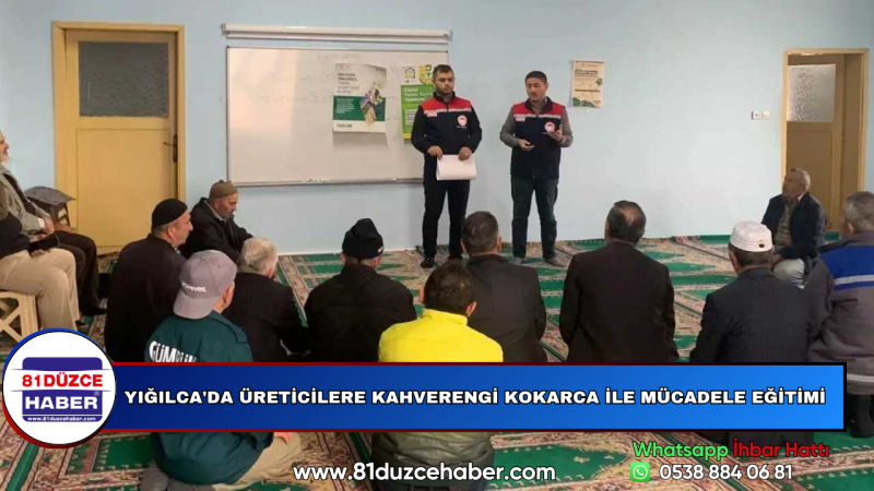 Yığılca'da Üreticilere Kahverengi Kokarca ile Mücadele Eğitimi