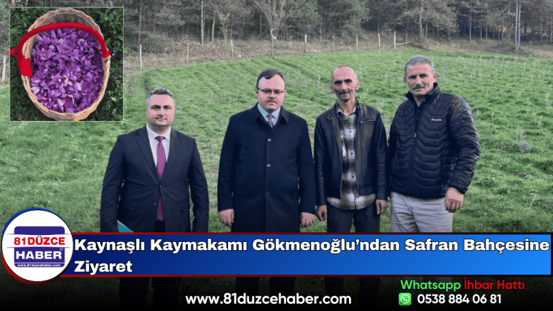 Kaynaşlı Kaymakamı Gökmenoğlu’ndan Safran Bahçesine Ziyaret