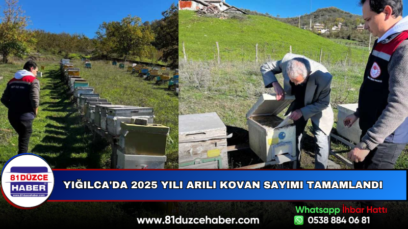 Yığılca'da 2025 Yılı Arılı Kovan Sayımı Tamamlandı
